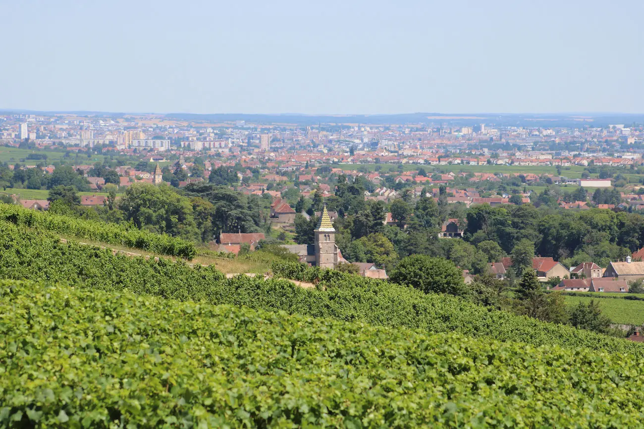 Vignoble-panoramique-bannière3