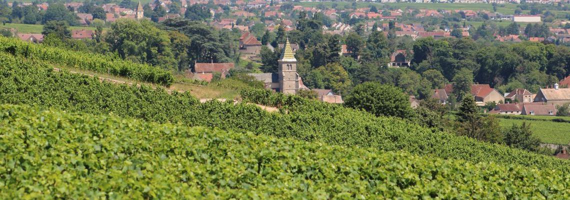 Chateau de Marsannay